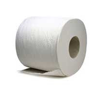 Toilet Tissue 2 ply